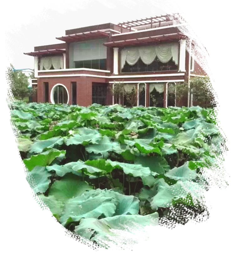 about_4_2.png about_4_2.png